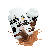 Capuchino
